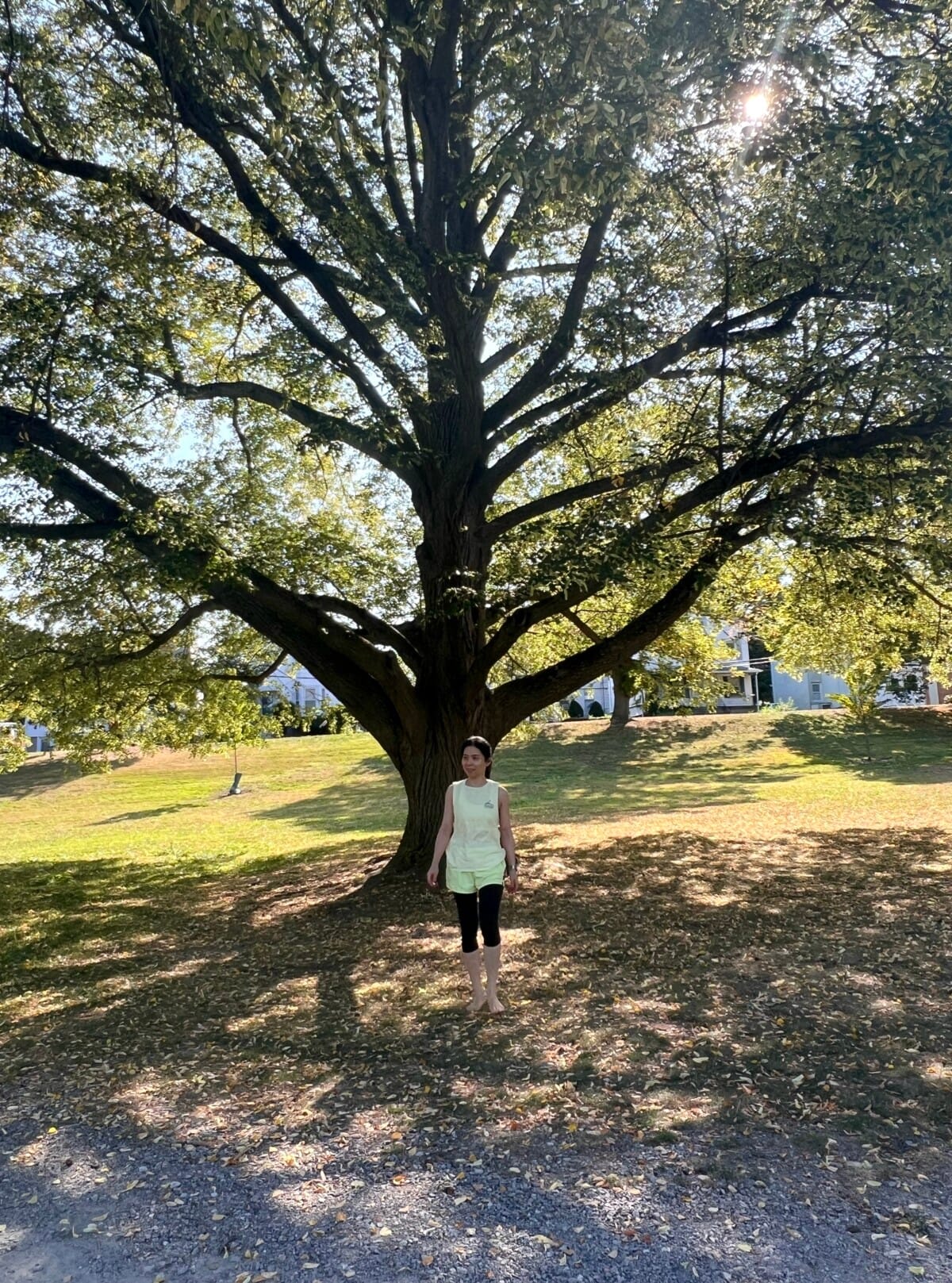 Ari Kim walking barefoot under a tree, embodying presence and awareness through the Alexander Technique.